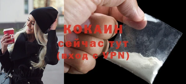 спайс Богданович