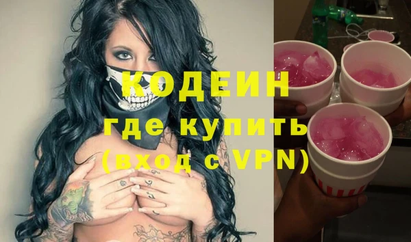 дживик Богородск