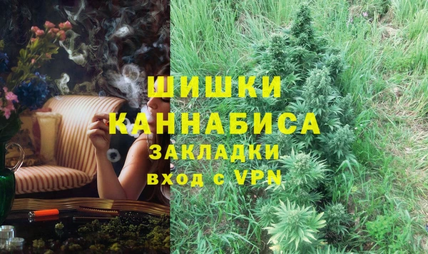 дживик Богородск