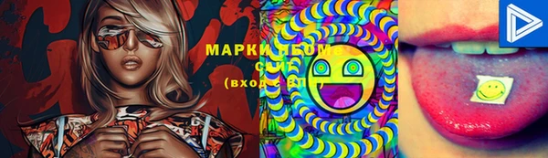 дживик Богородск