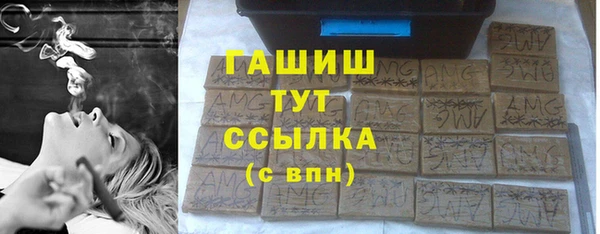 СК Снежногорск