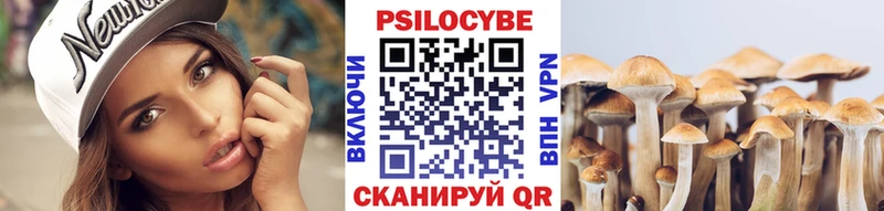 купить  цена  shop Telegram  Галлюциногенные грибы GOLDEN TEACHER  Ковылкино 