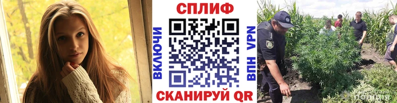 Канабис конопля Ковылкино